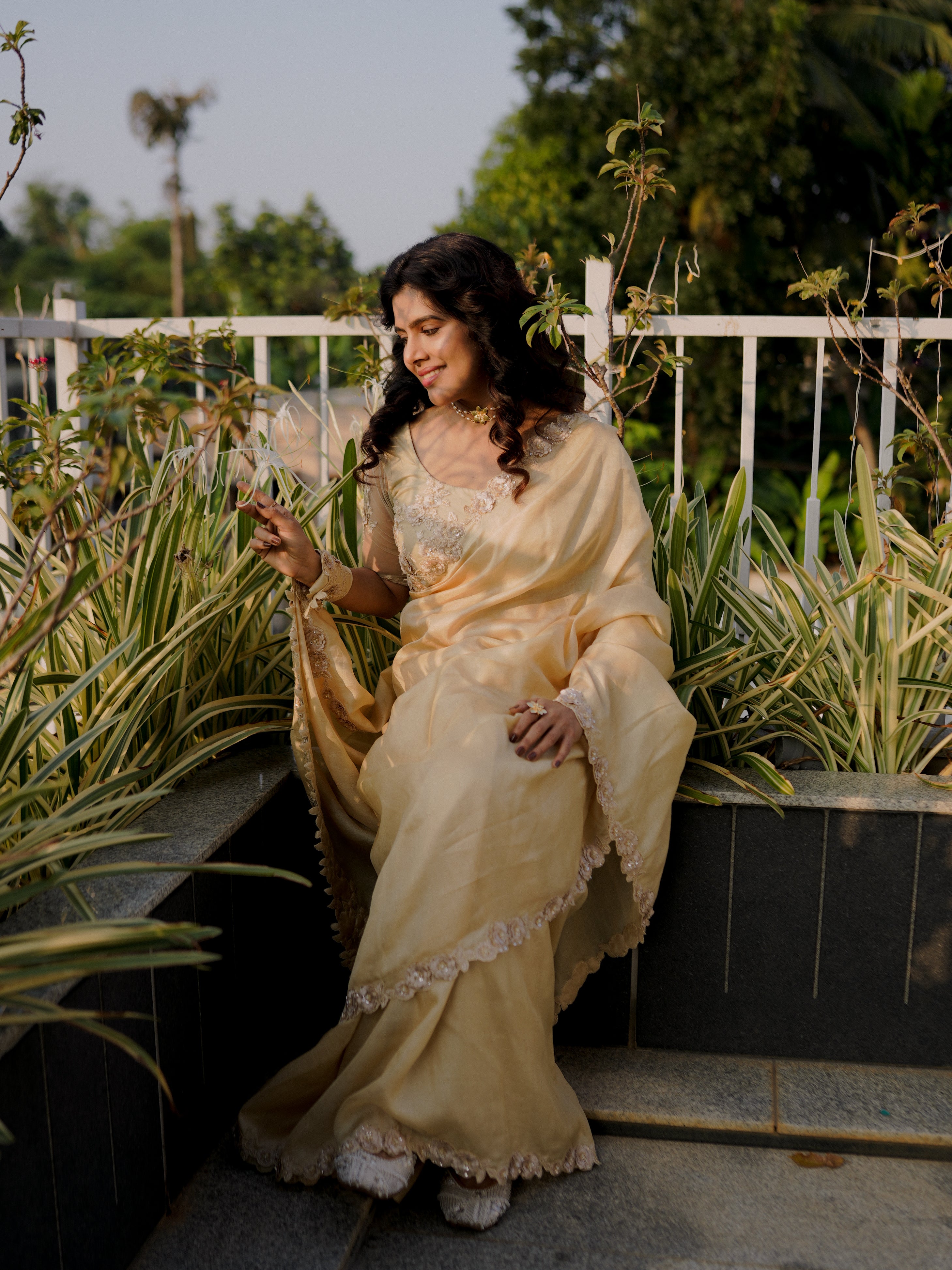 Classic cream and gold saree