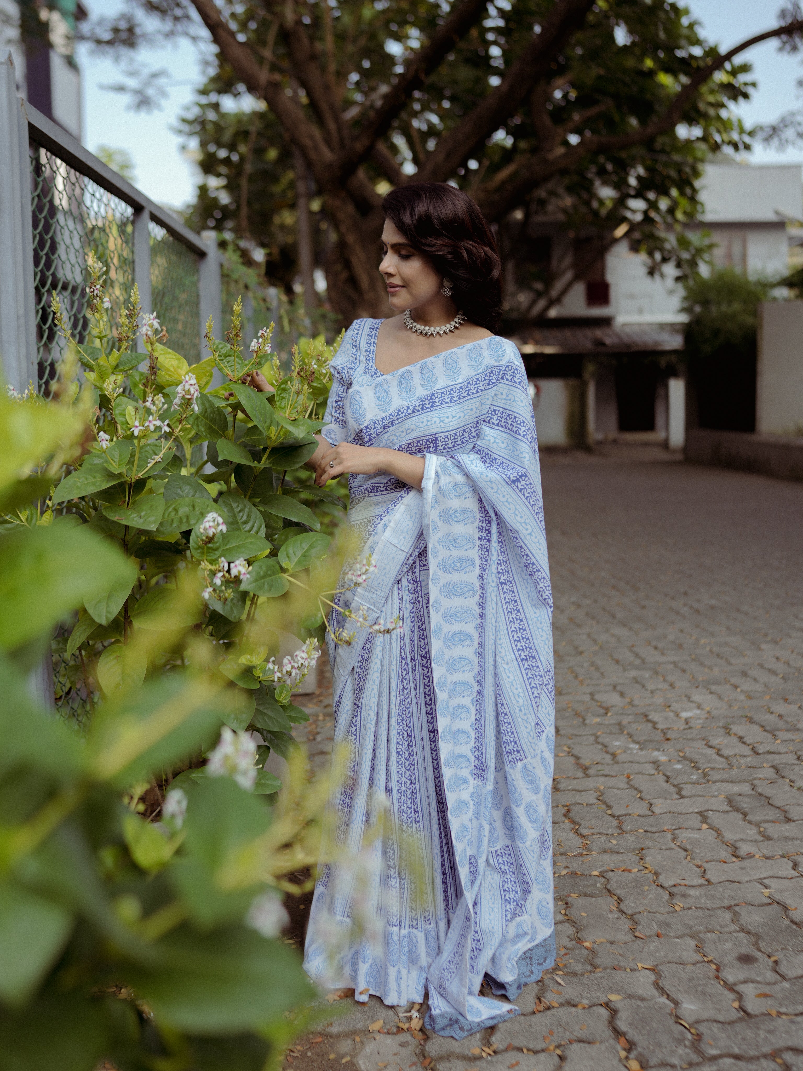 Blue mango cotton sari