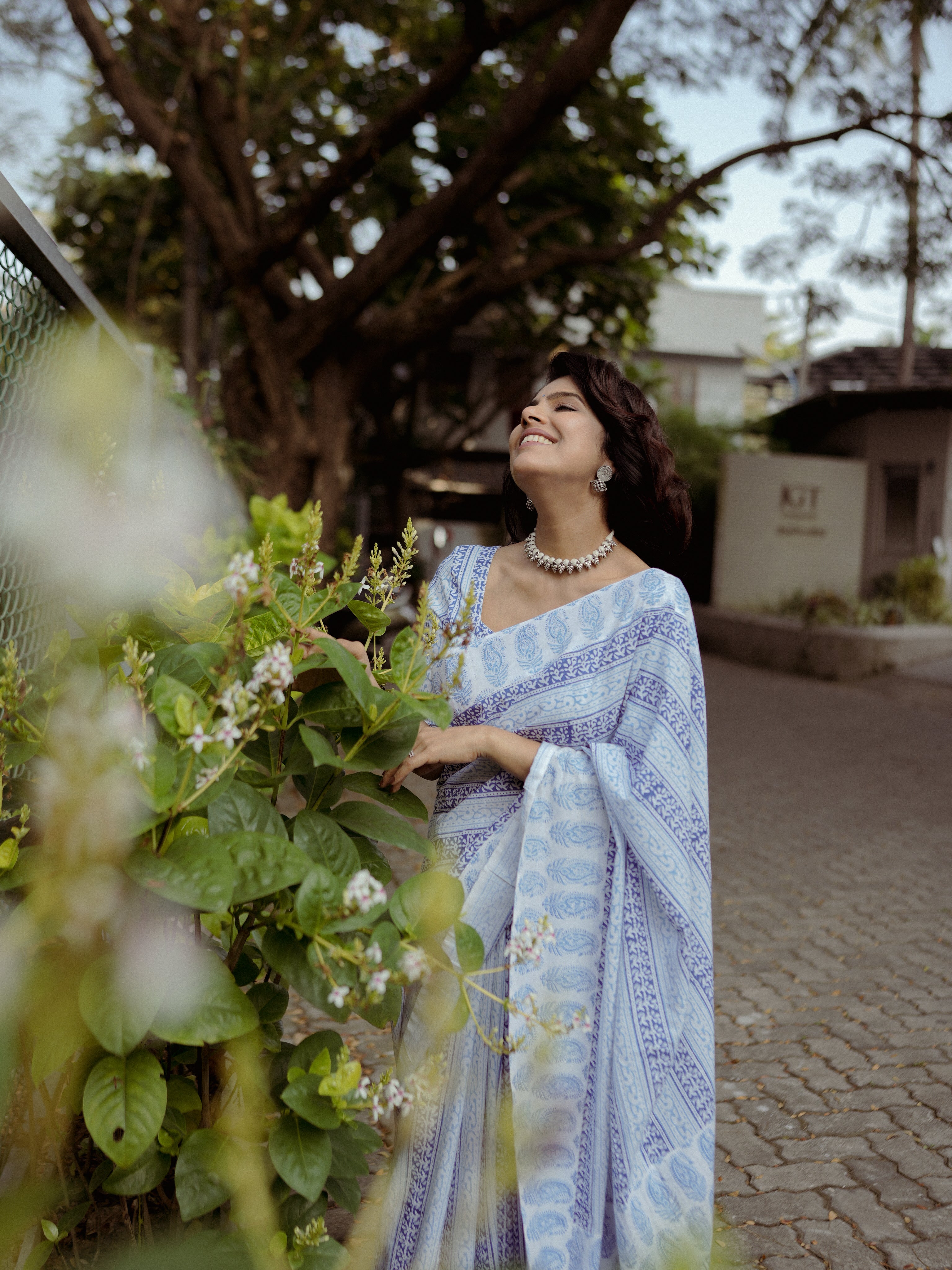 Blue mango cotton sari